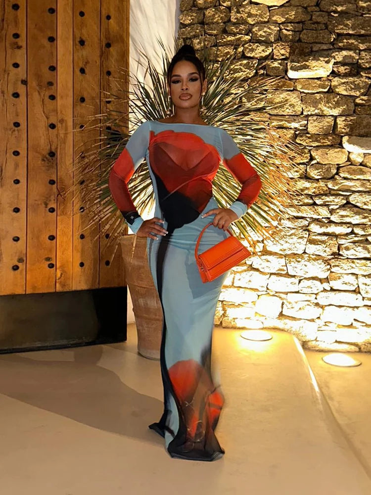 Rose Print Mesh Dress