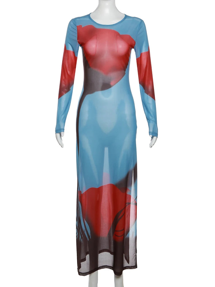 Rose Print Mesh Dress