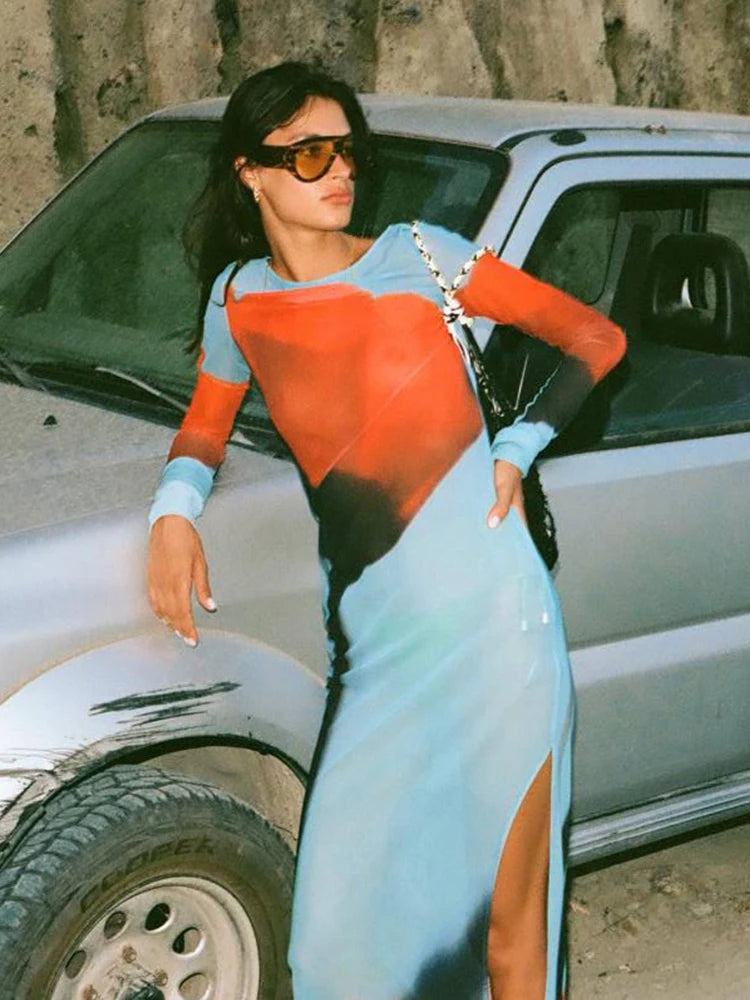 Rose Print Mesh Dress